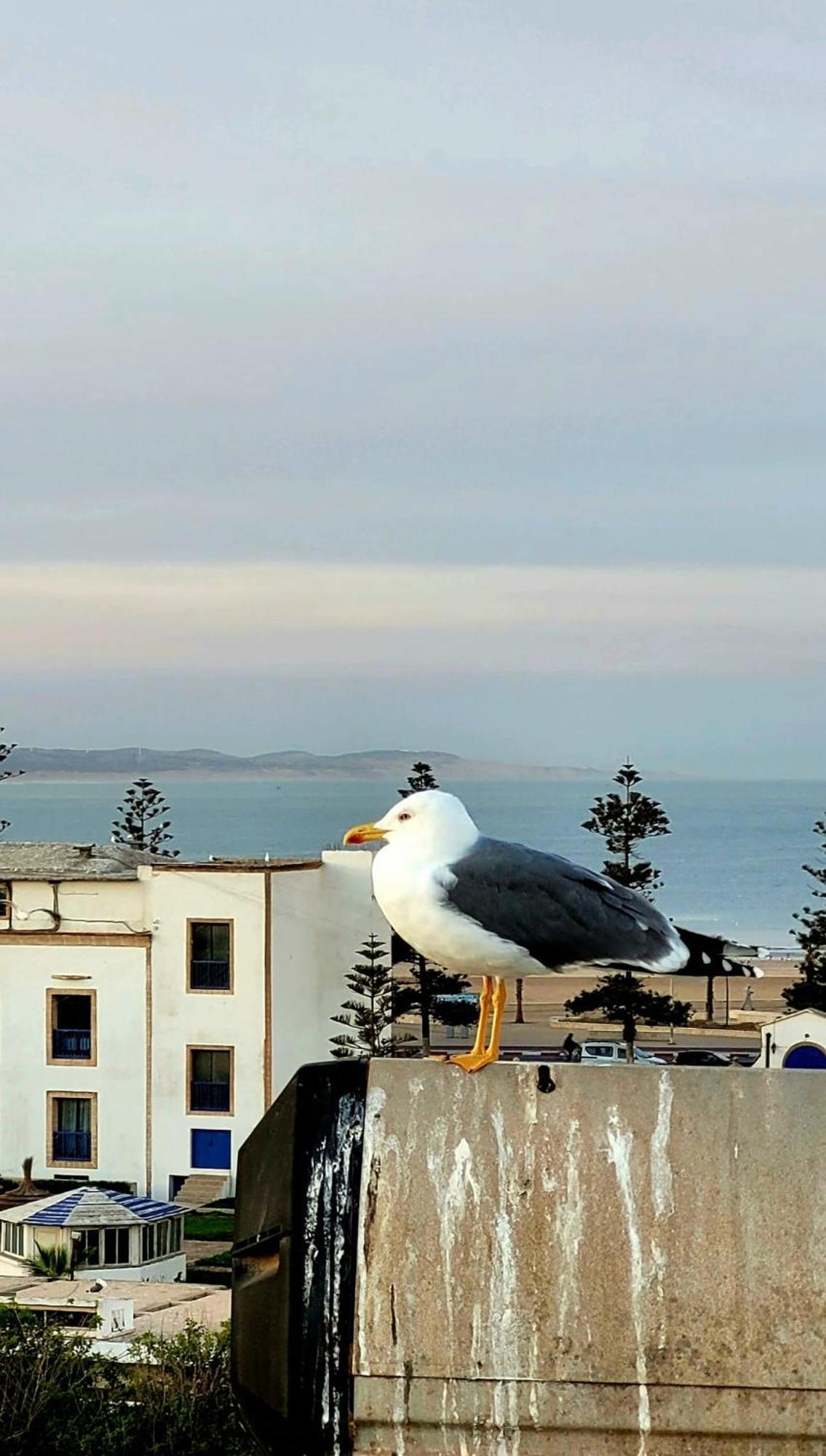 Riad Ocean Medina Essaouira