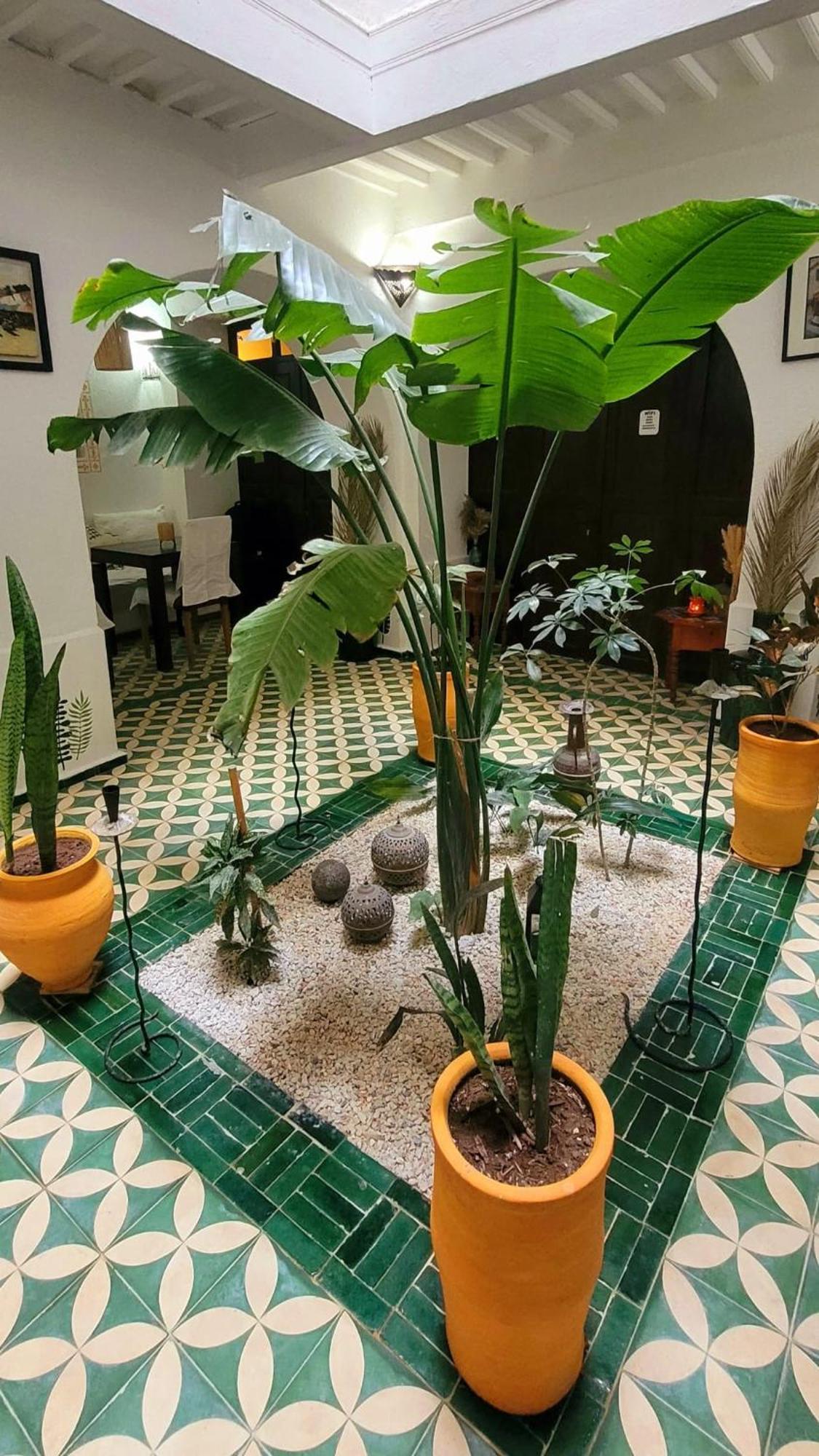 Riad Ocean Medina 3*