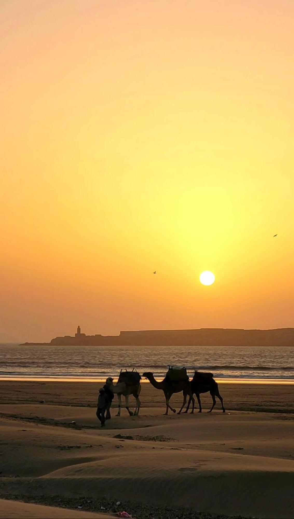Ocean Medina 3* Essaouira